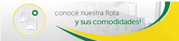 Flota de Micros - Conocé nuestra flota de micros y sus comodidades